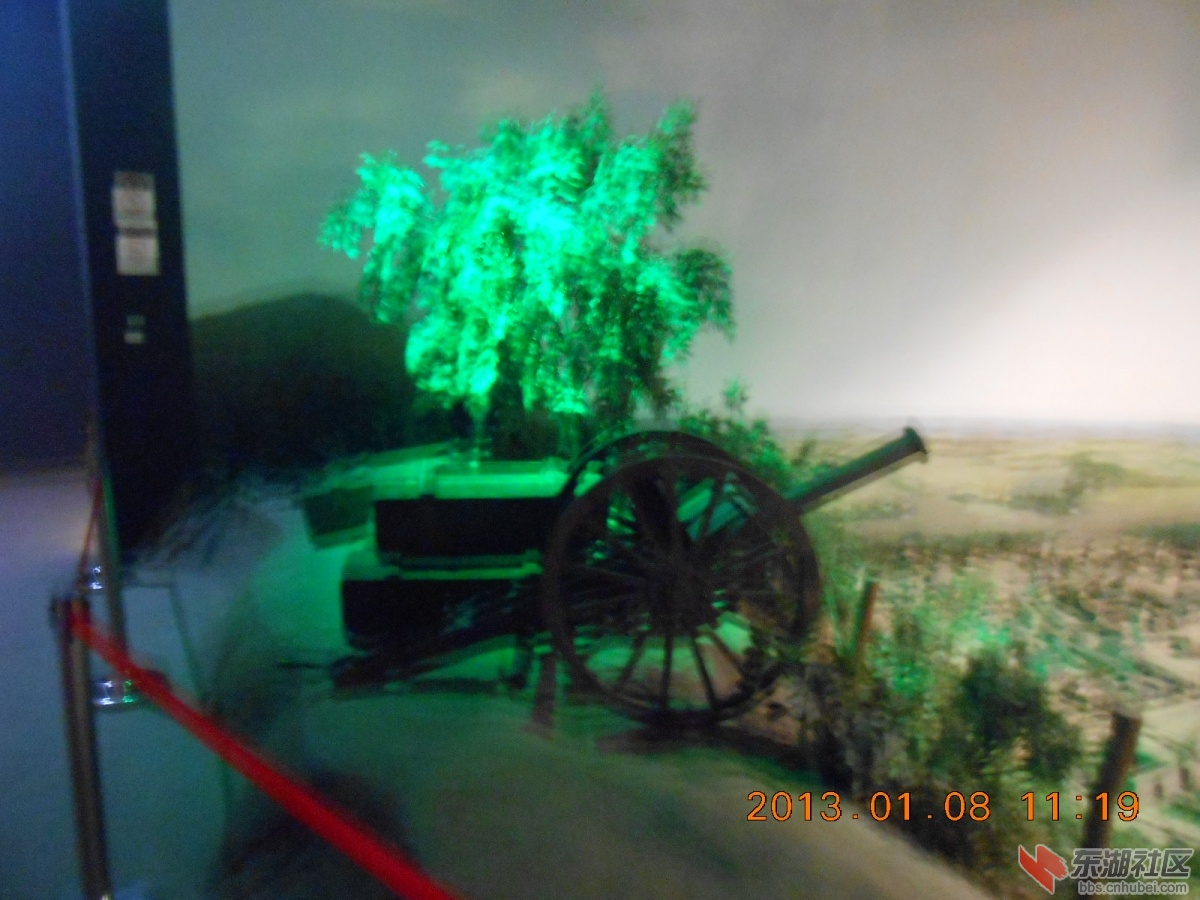 DSCN0773.jpg