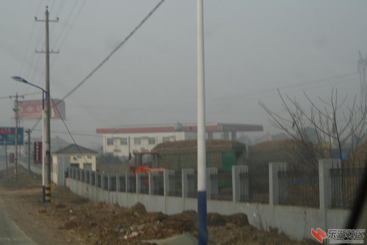 照片 007.jpg