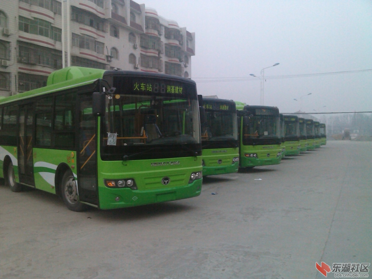 IMG_20130111_175441.jpg