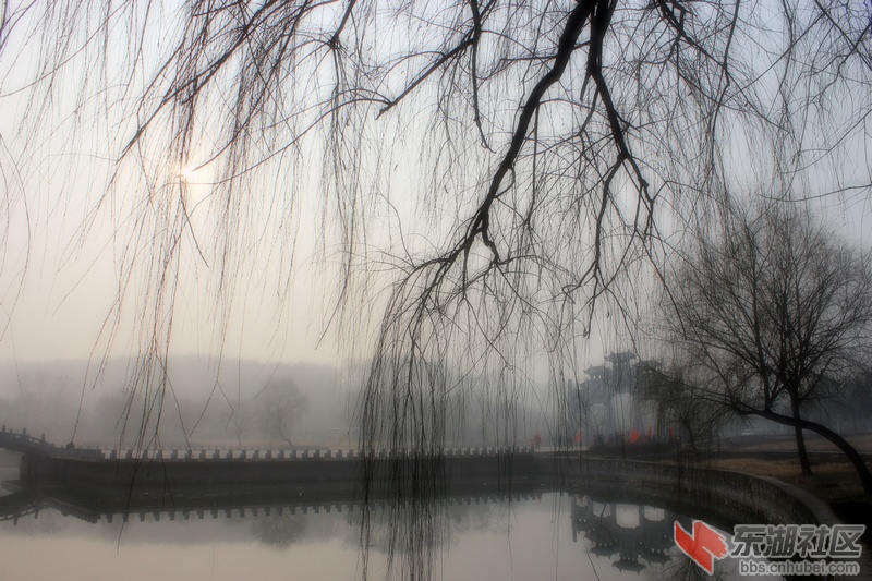 IMG_2715.jpg副.jpg发.jpg