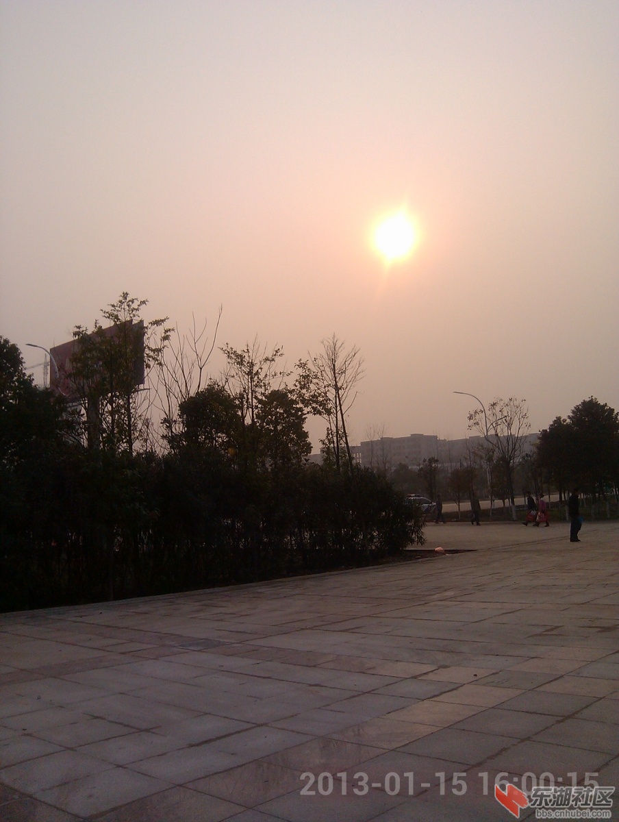 IMG_20130115_160015.jpg