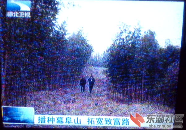 崇阳县.png