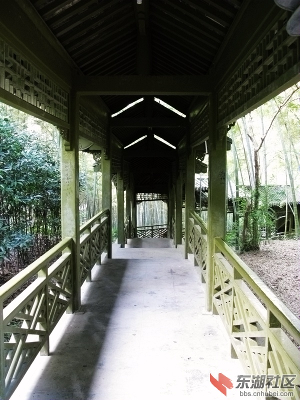 16137855_0800.jpg