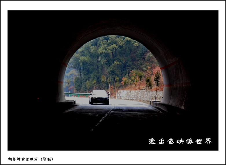 IMG_1905_conew1.jpg
