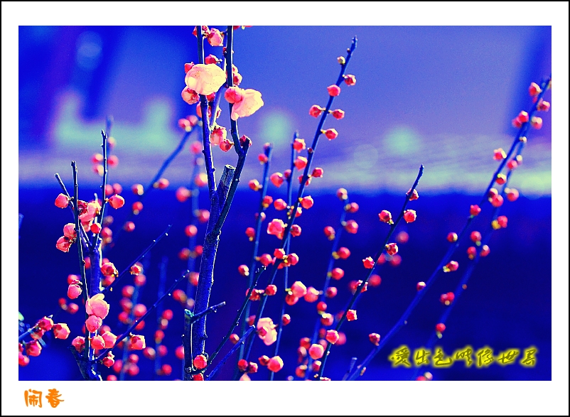IMG_0957_副本_conew1.jpg
