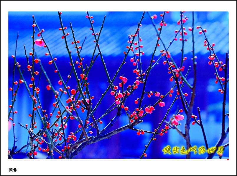 IMG_0956_副本_conew1.jpg
