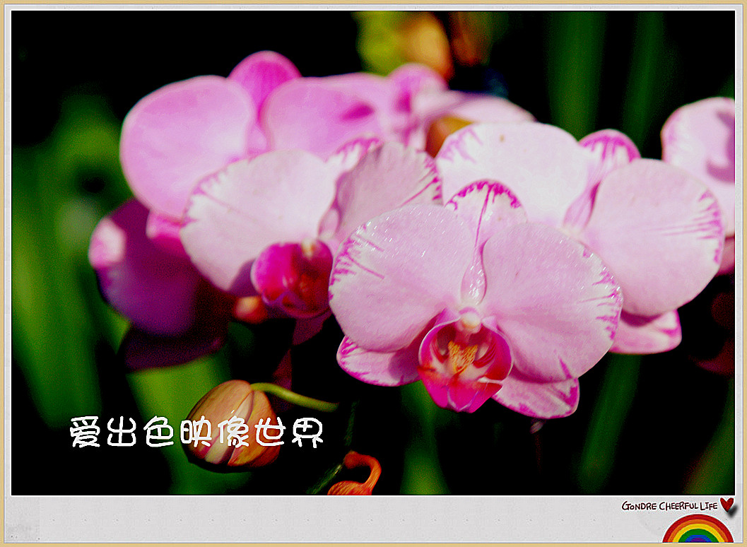 img_0815_副本.jpg