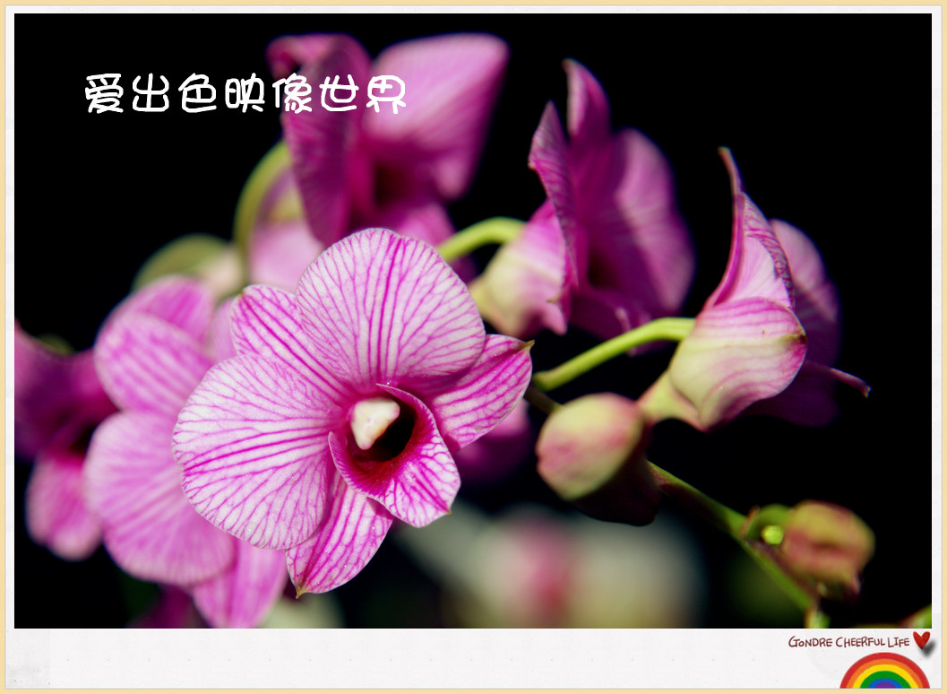 IMG_0851_副本.jpg