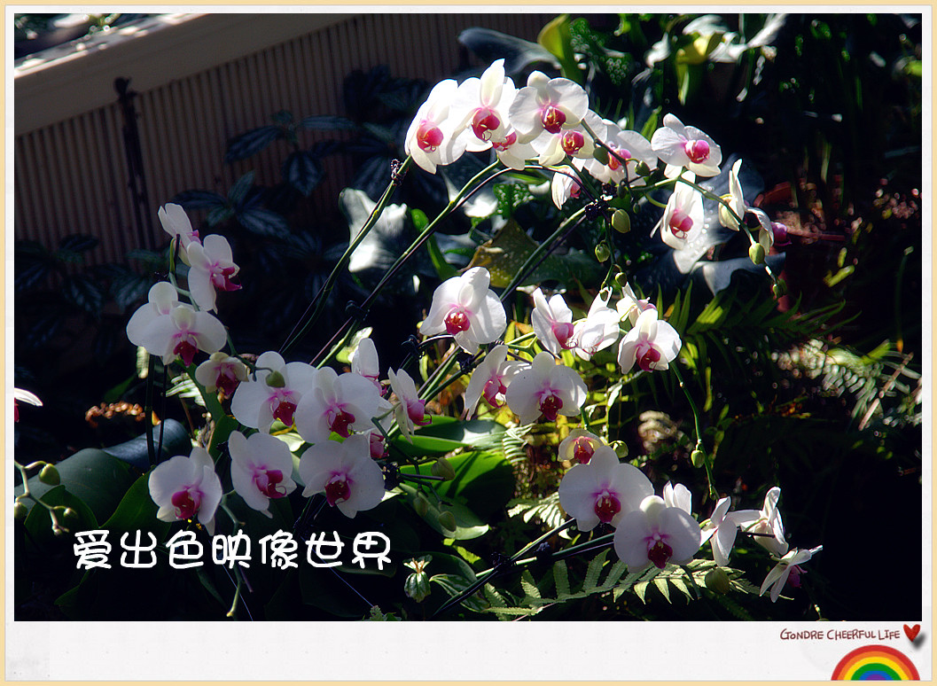 IMG_0867_副本.jpg