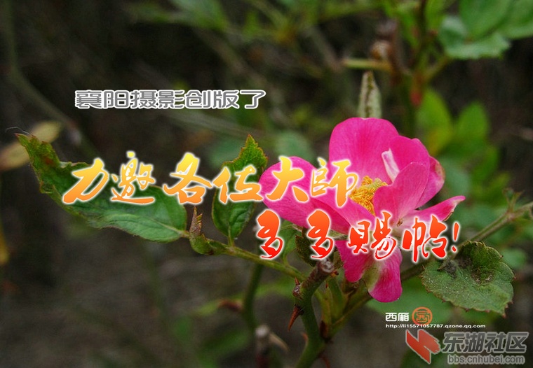 10 046_副本.jpg