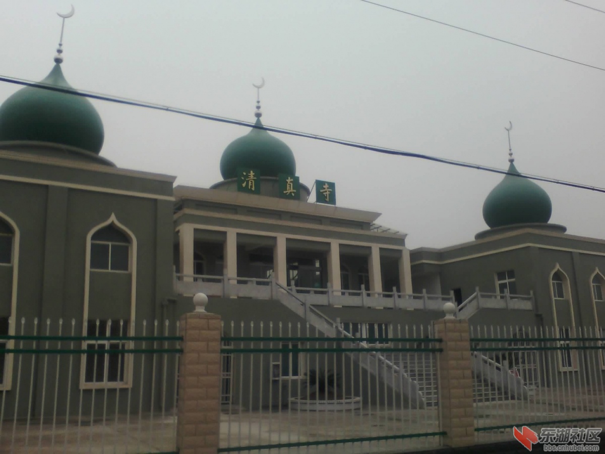 IMG_20130121_150343.jpg