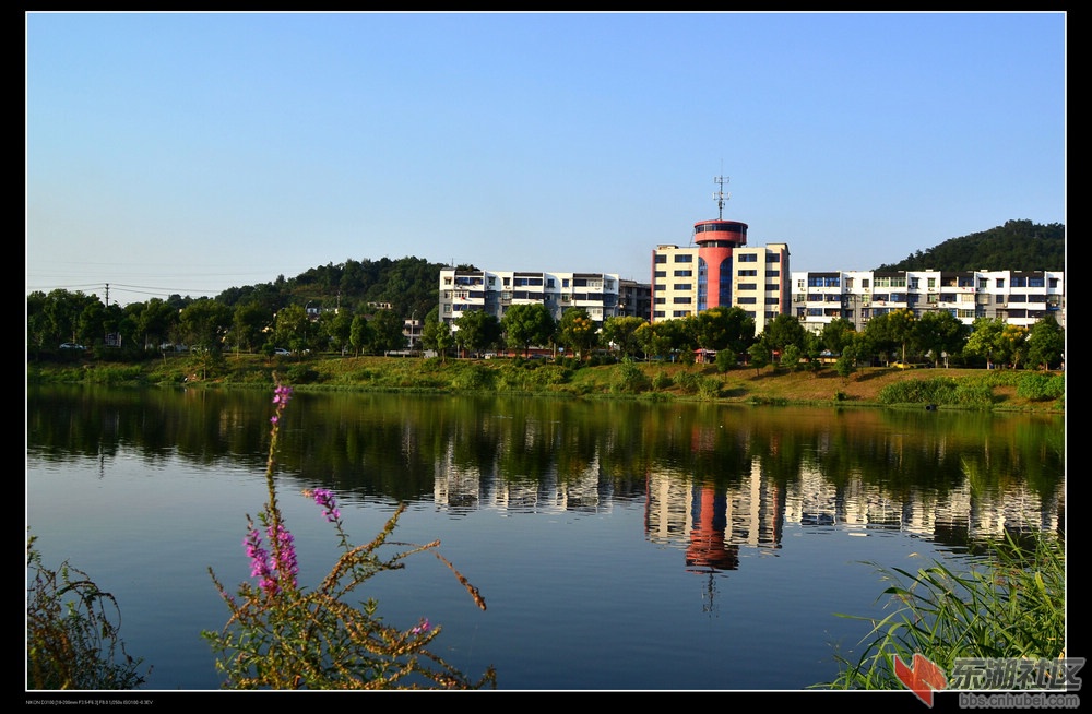 294_665676_88745aa6d4551e6.jpg