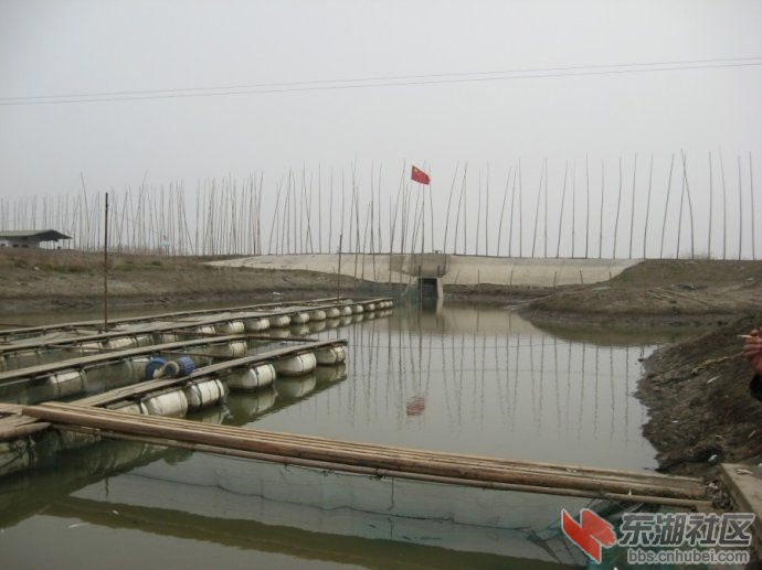 6ce94584xd3ecb152cc2c&690.jpg