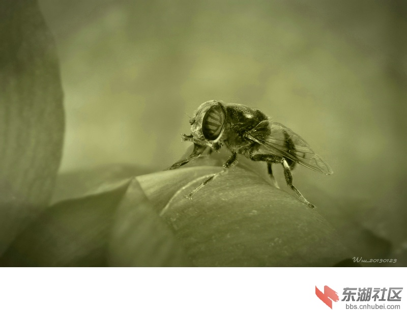 照片006 176_副本1_副本_副本.jpg