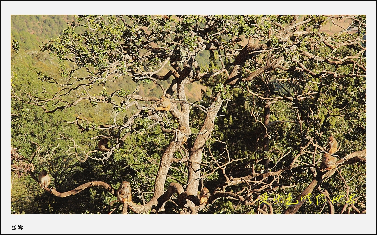 IMG_3445_副本_conew1.jpg