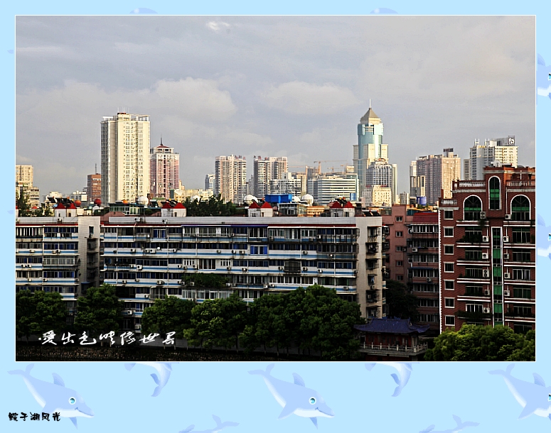 _MG_0111_conew1.jpg