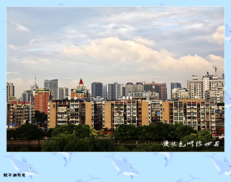 _MG_0116_conew1.jpg