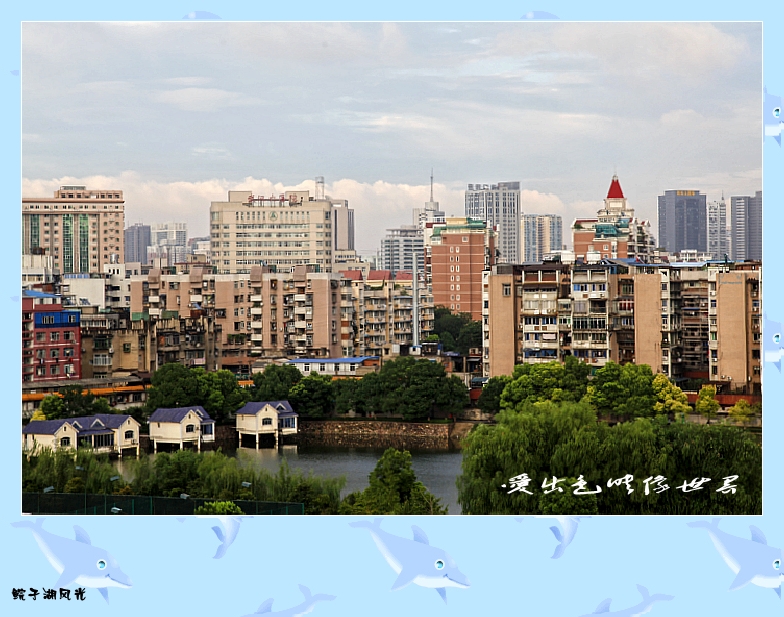 _MG_0135_conew1.jpg