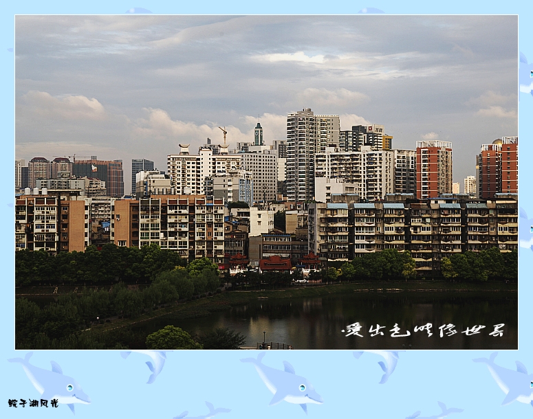 _MG_0143_conew1.jpg