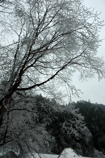 DSC_6800.jpg