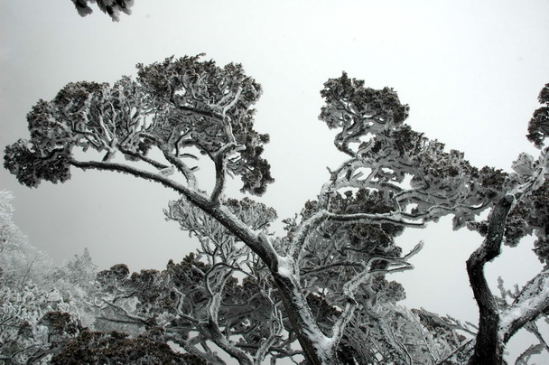 DSC_6904.jpg