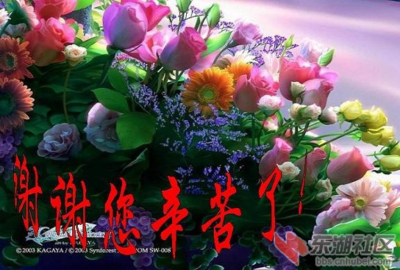 鲜花谢谢您.jpg