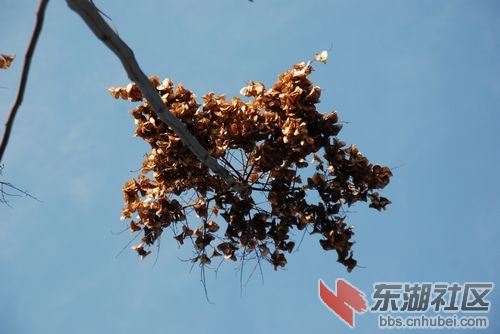 nEO_IMG_DSC_1625.jpg