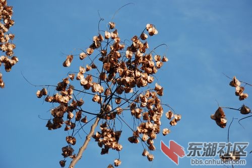 nEO_IMG_DSC_1627.jpg