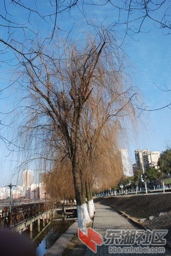 nEO_IMG_DSC_1628.jpg