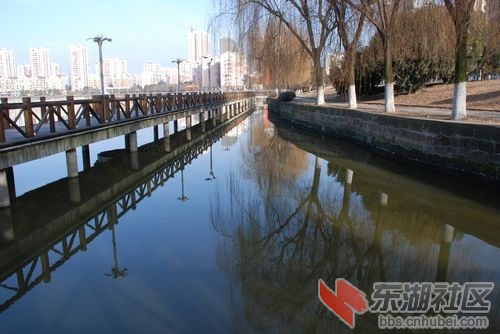 nEO_IMG_DSC_1630.jpg