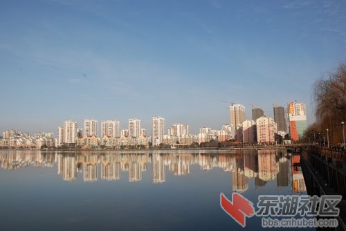 nEO_IMG_DSC_1635.jpg