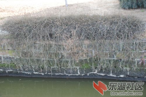 nEO_IMG_DSC_1640.jpg