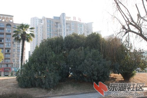 nEO_IMG_DSC_1641.jpg