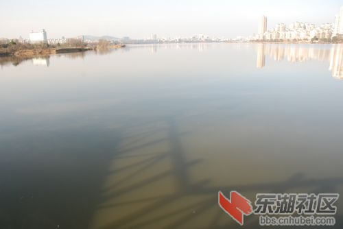 nEO_IMG_DSC_1645.jpg
