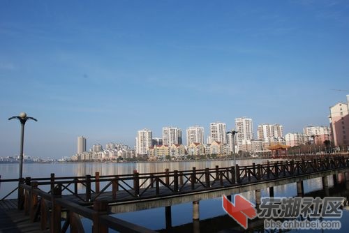 nEO_IMG_DSC_1646.jpg
