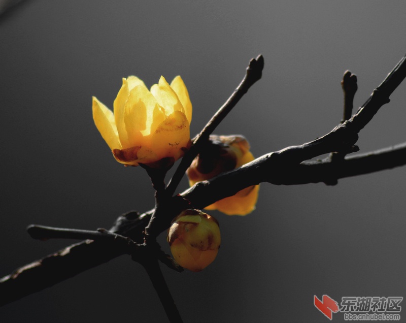 IMG_3164.jpg副.jpg