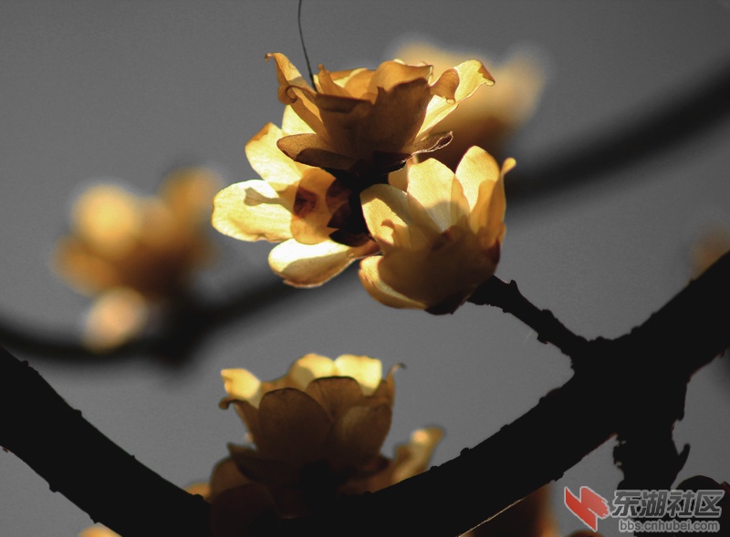 IMG_3133.jpg副.jpg