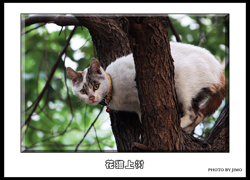 20130127 024.jpg