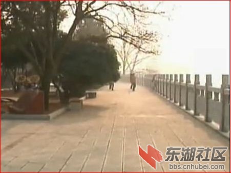 捕获.JPG