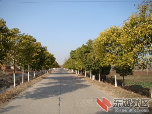 2011214102523546.jpg