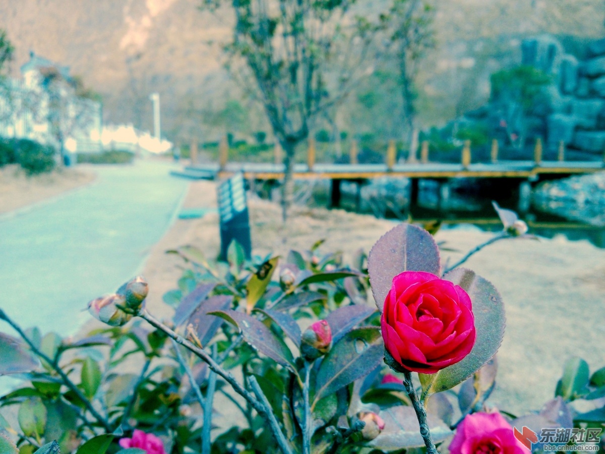IMG20130127163429.jpg