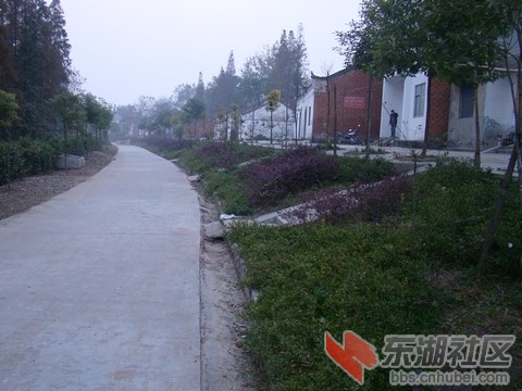 2010113181535346.jpg