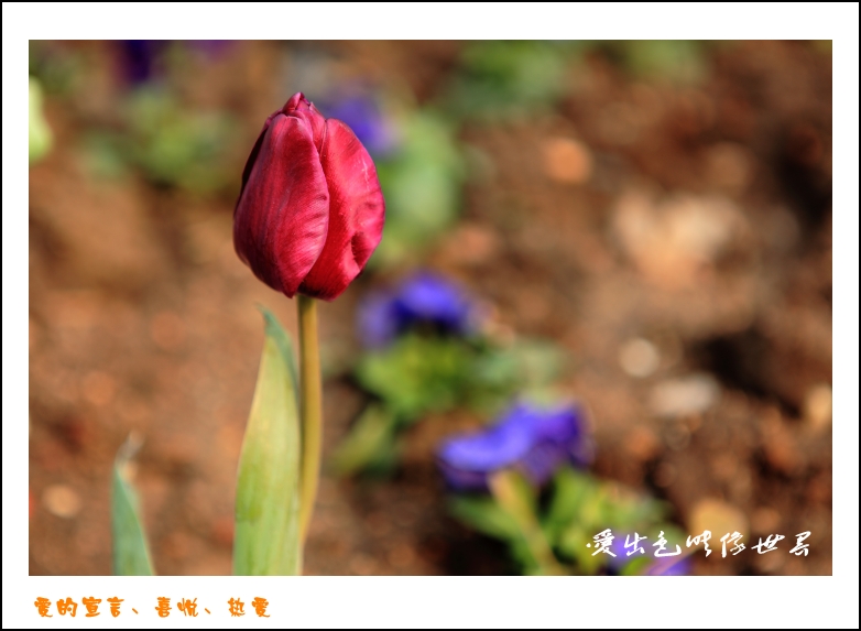 IMG_1405_conew2.jpg