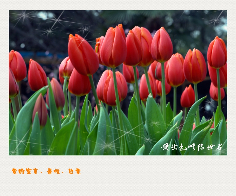 IMG_1439_副本_conew1.jpg