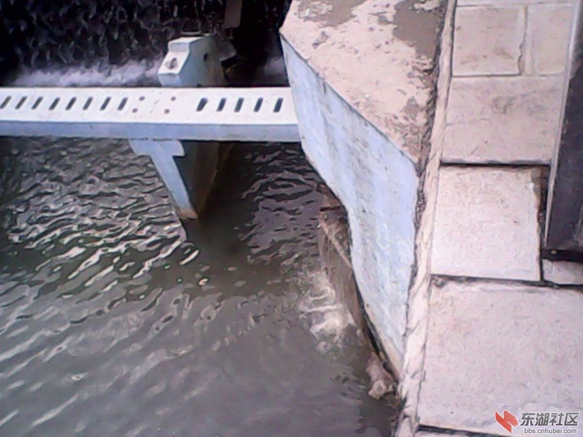 IMG10261.jpg