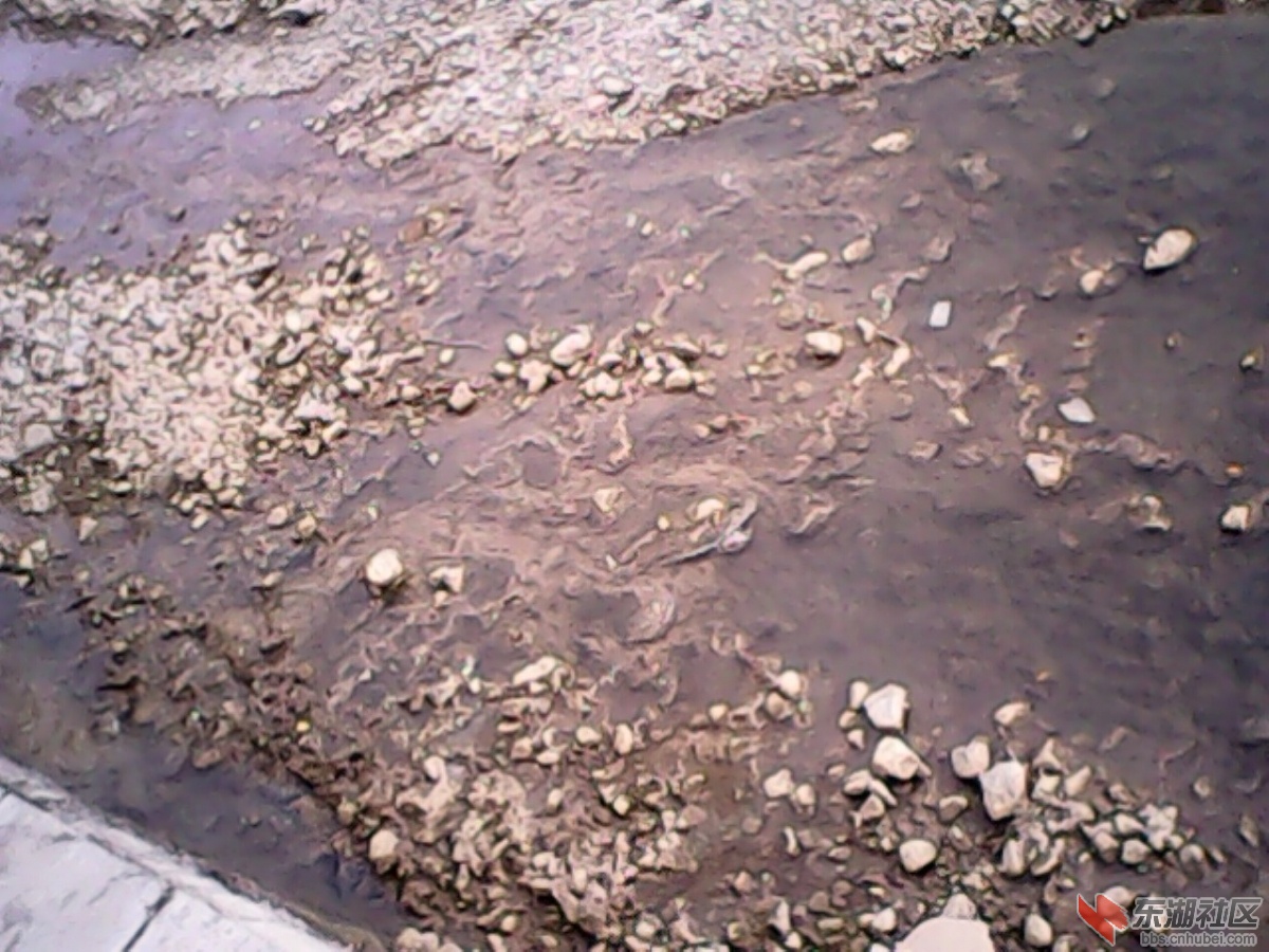 IMG10262.jpg