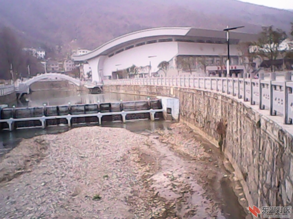 IMG10264.jpg