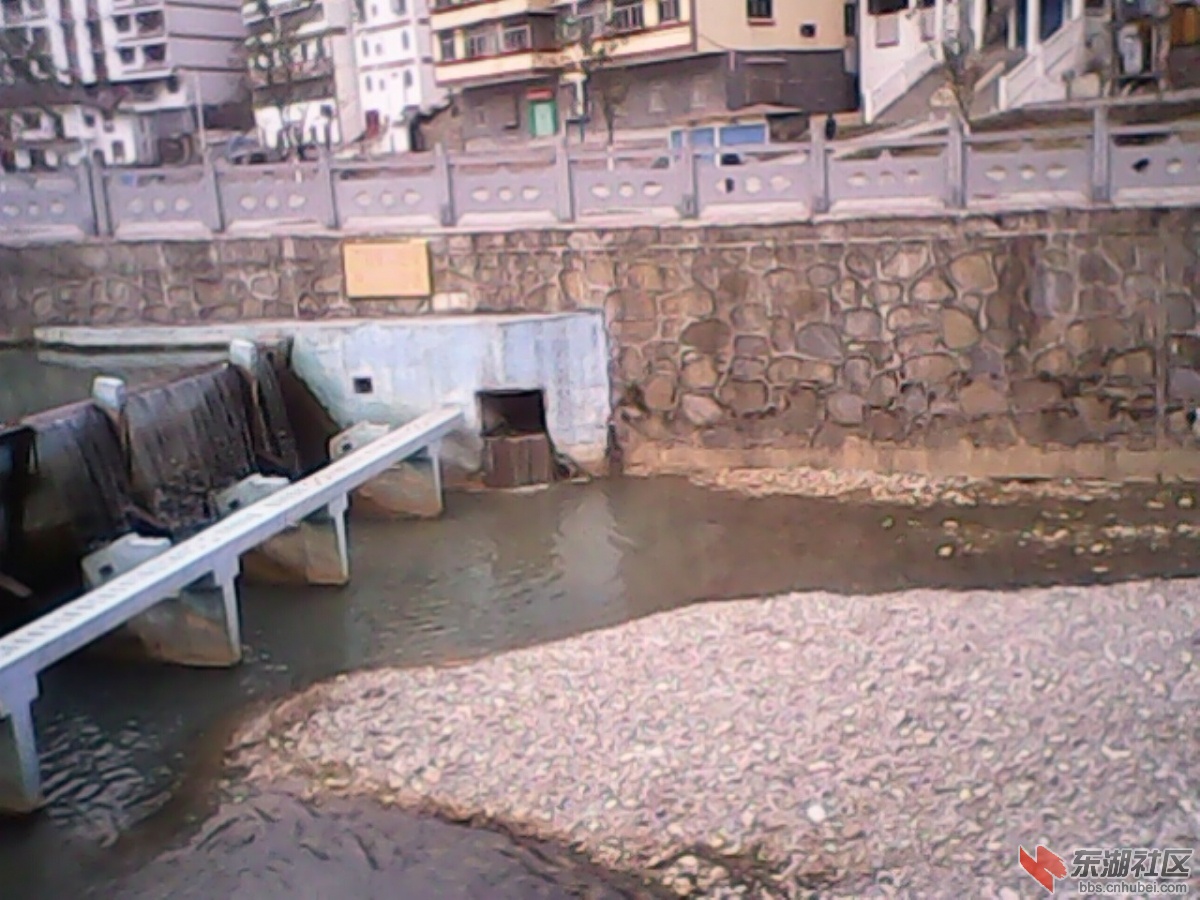 IMG10266.jpg