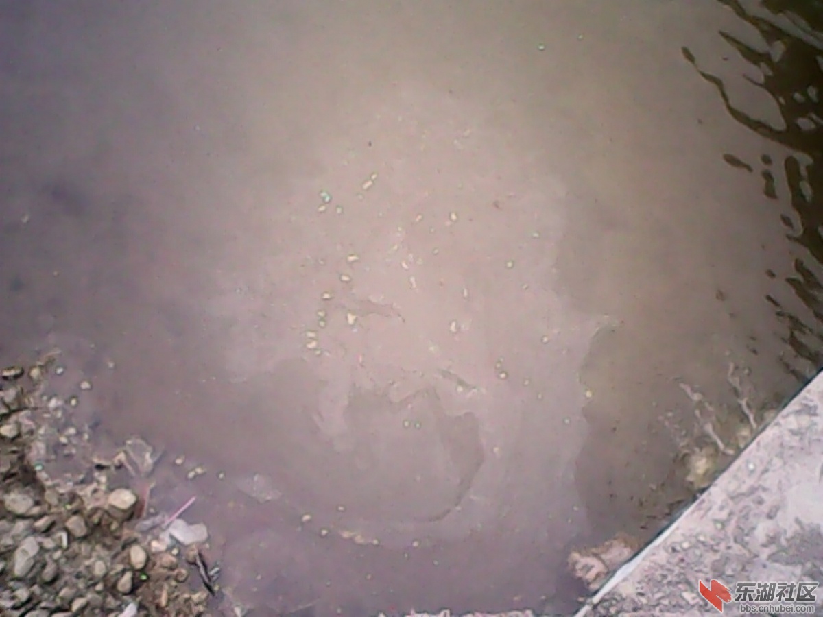 IMG10275.jpg