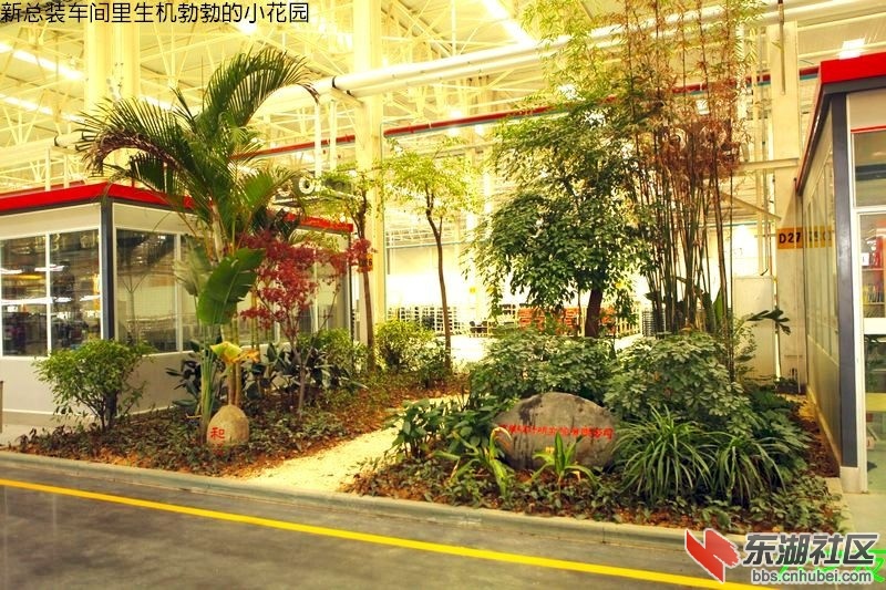 新总装车间里生机勃勃的小花园.jpg